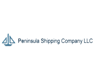 ICT-Systems-peninsula-Logo