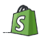 Shopify SEO Icon