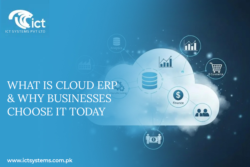 enterprise resource planning systems